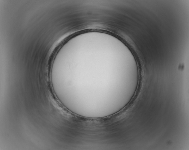 X0000113140931200909040954