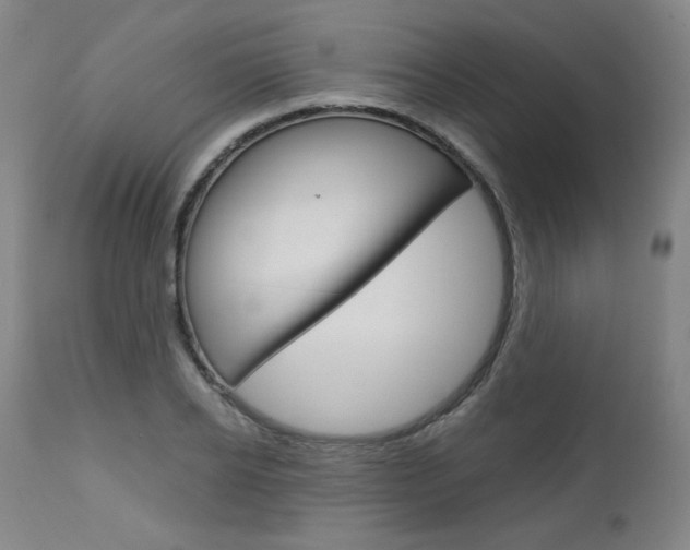 X0000113140934200909040954