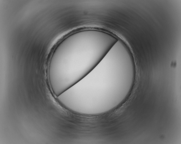 X0000113140935200909040954