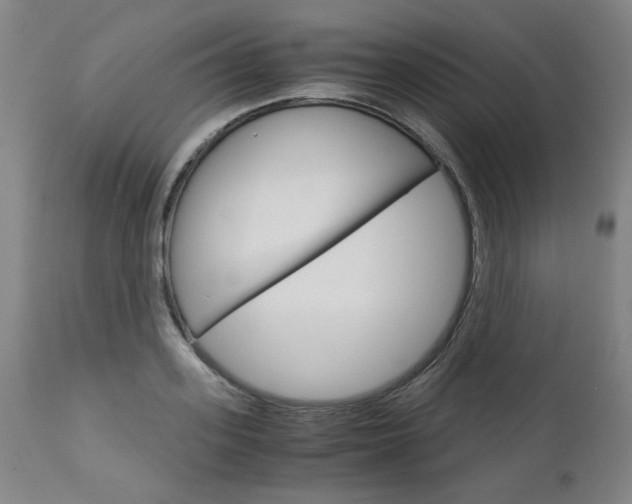 X0000113140939200909040954