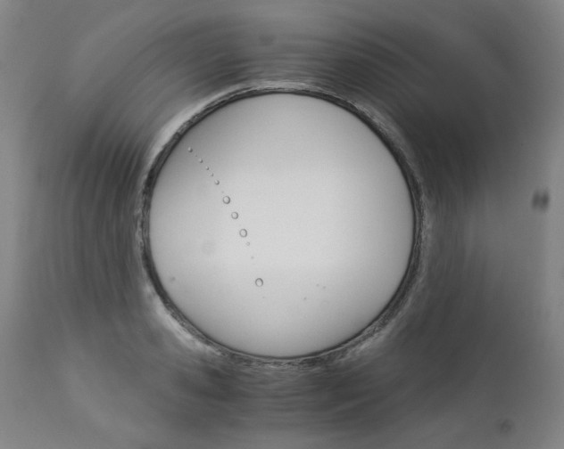 X0000113140941200909040954