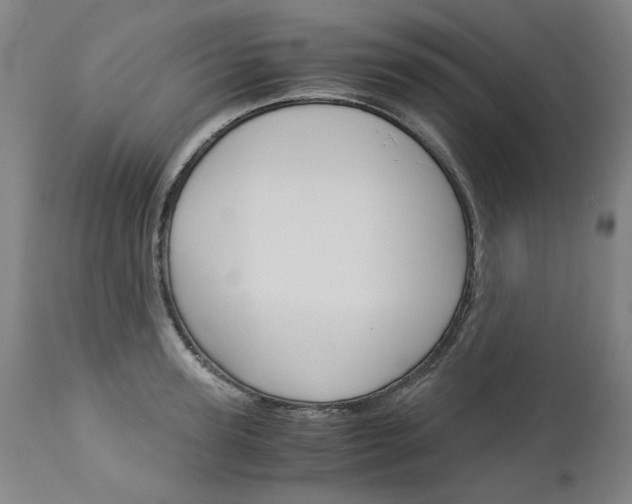 X0000113140947200909040954