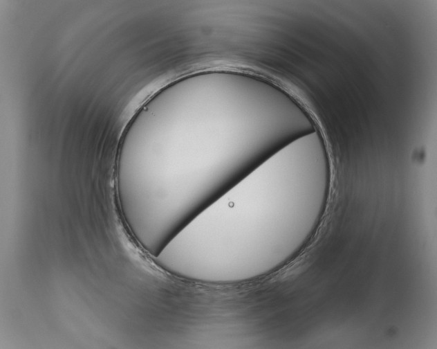 X0000113140954200909040954
