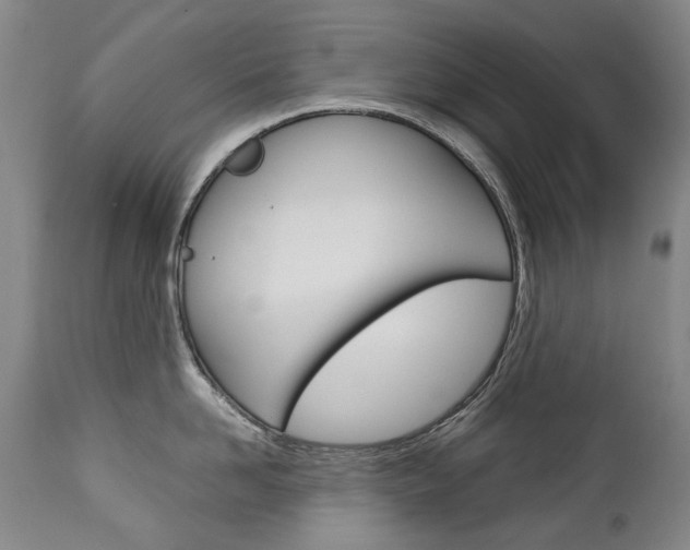 X0000113140958200909040954