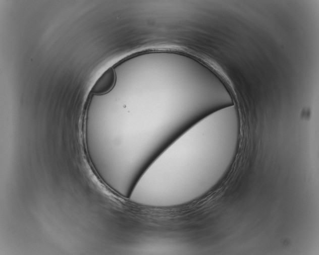 X0000113140959200909040954