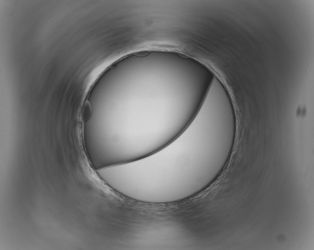 X0000113140960200909040954