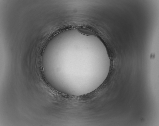 X0000113140961200909040954