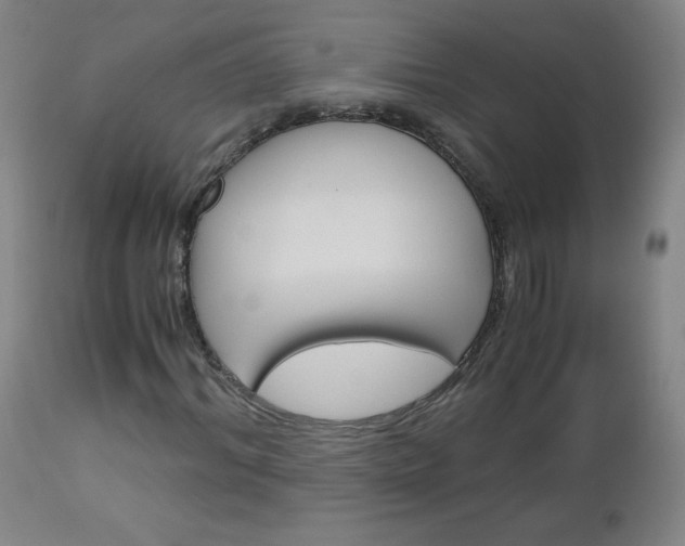 X0000113140964200909040954