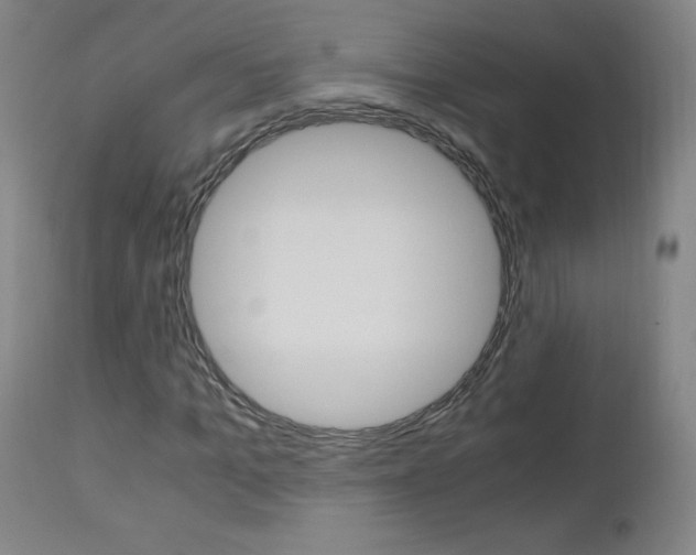 X0000113140965200909040954