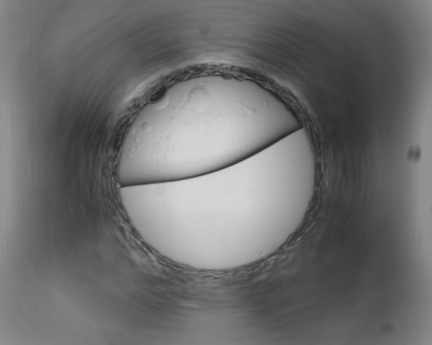 X0000113140968200909040953