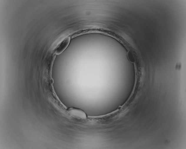 X0000113140969200909040953