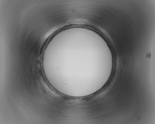X0000113140970200909040953
