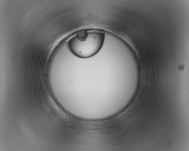 X0000113140972200909040953