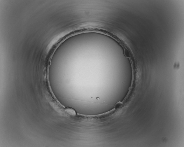 X0000113140973200909040953