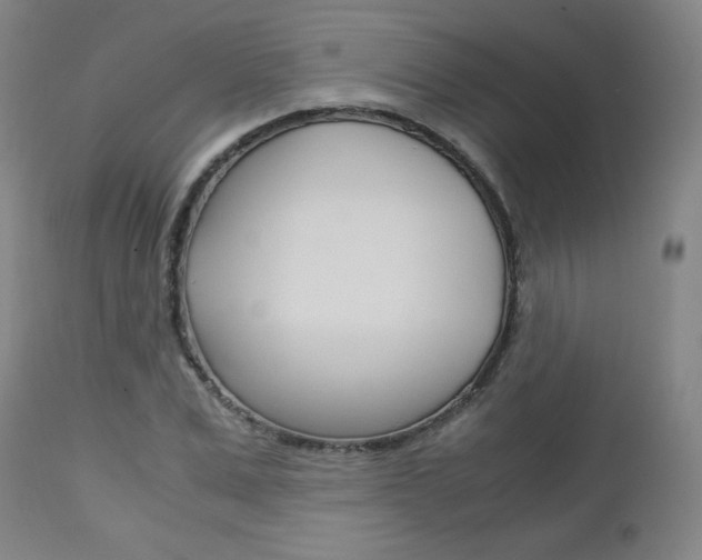 X0000113140975200909040953