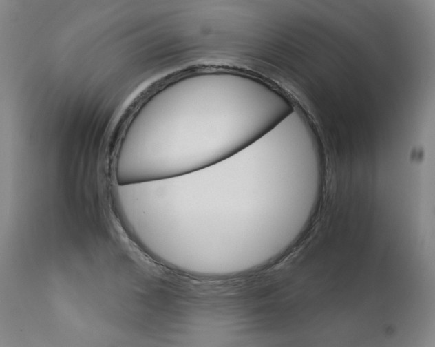 X0000113140976200909040953