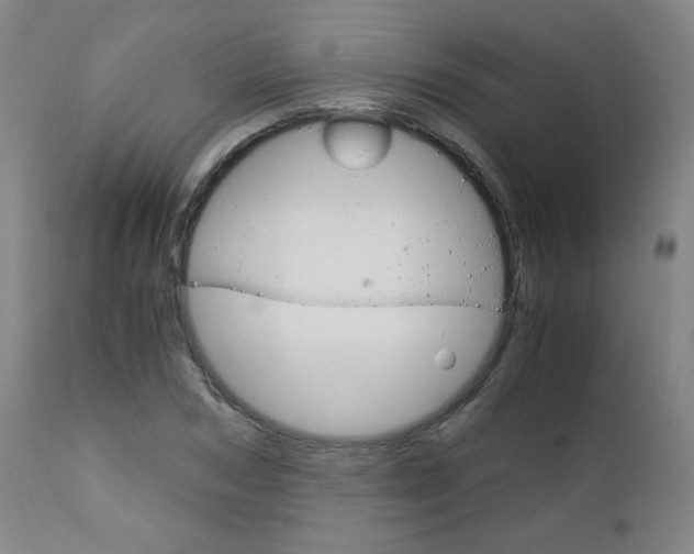 X0000113140978200909040953