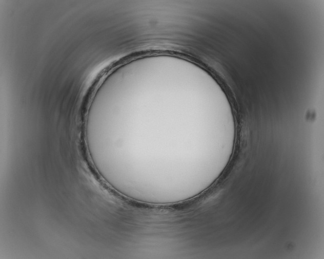 X0000113140979200909040953