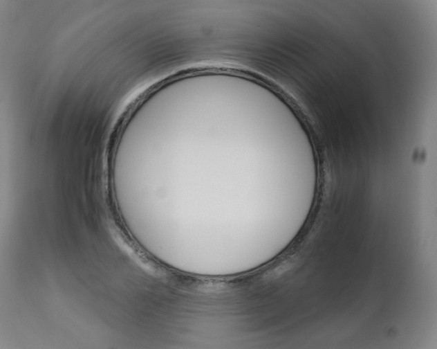 X0000113140982200909040953