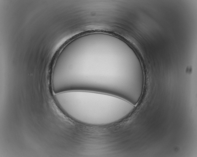 X0000113140983200909040953