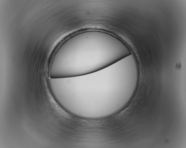 X0000113140984200909040953