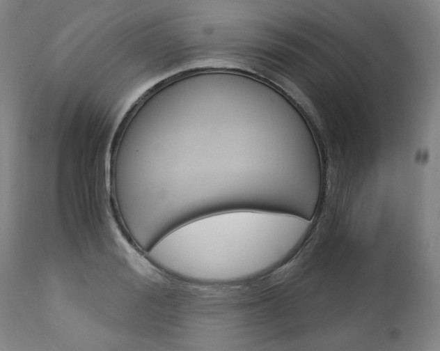 X0000113140988200909040953