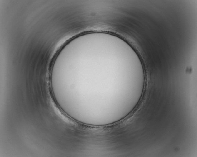 X0000113140990200909040953