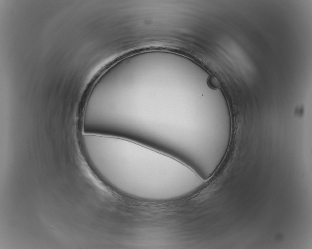 X0000113140991200909040953