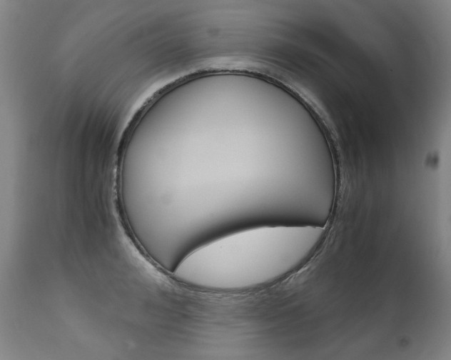 X0000113140992200909040953