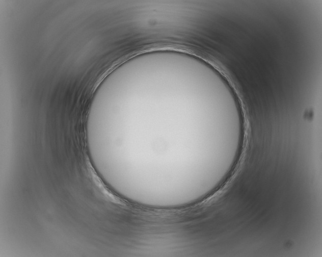 X0000113140993200909040953