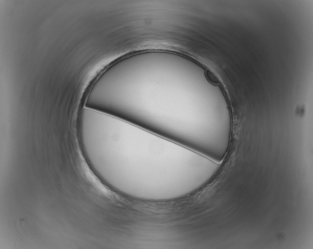 X0000113140995200909040953