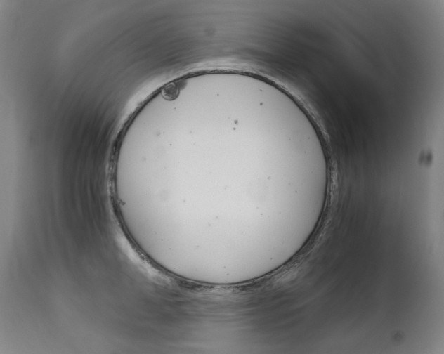 X0000113140998200909040953
