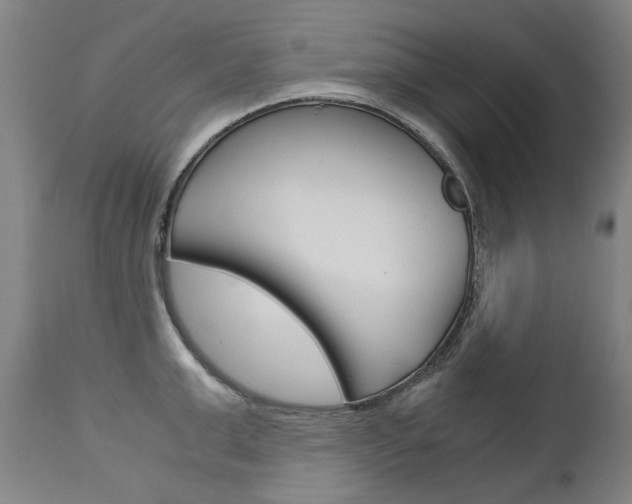 X0000113140999200909040953