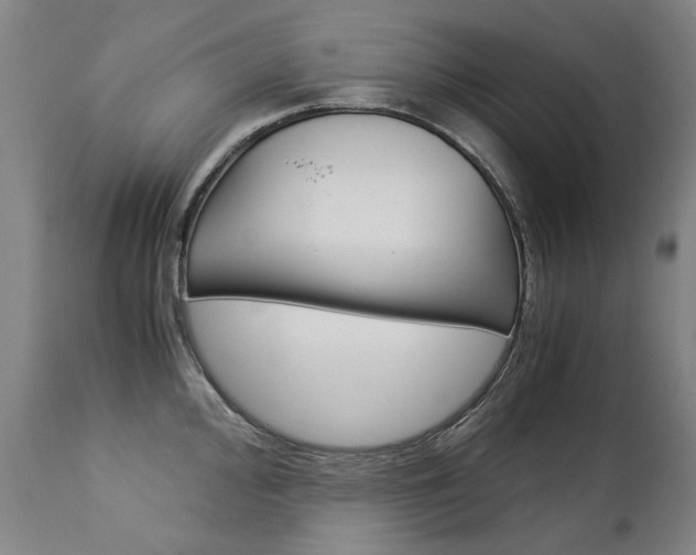 X0000113141000200909040953