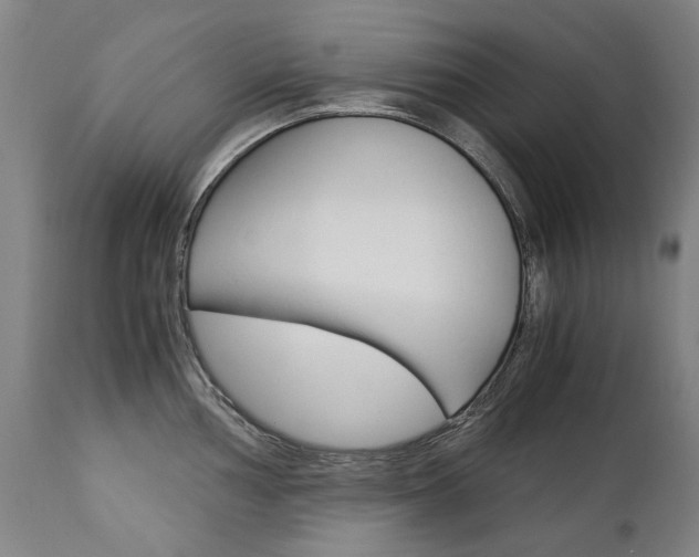 X0000113141002200909040953