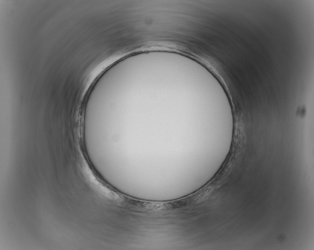 X0000113141003200909040953