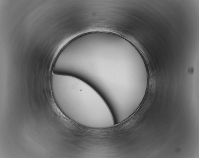 X0000113141004200909040953