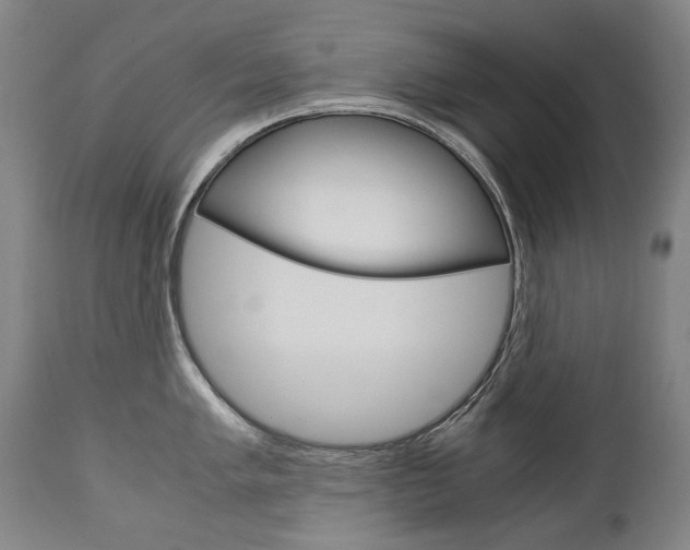 X0000113141005200909040953