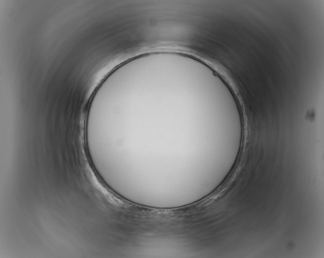 X0000113141006200909040953