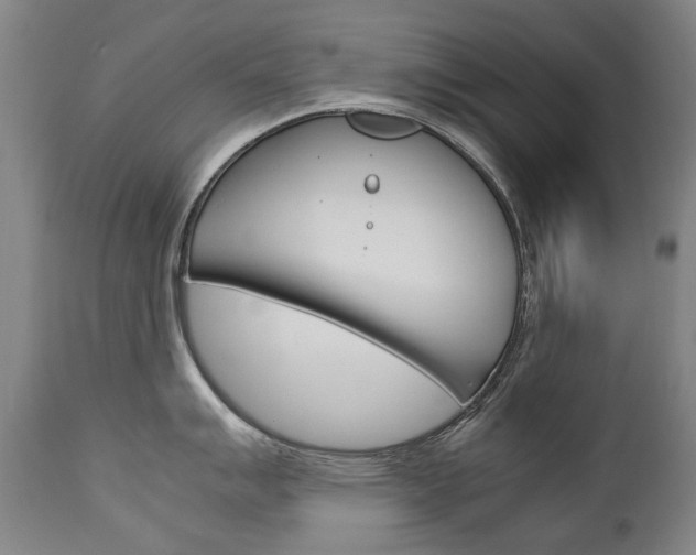 X0000113141007200909040953