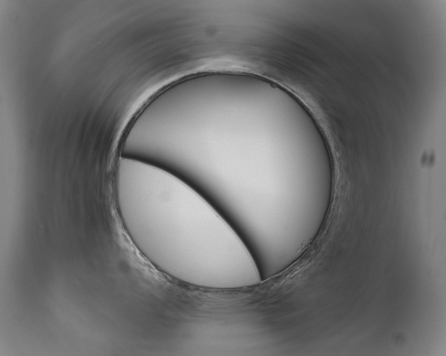 X0000113141008200909040953