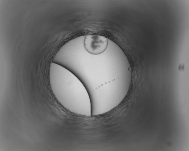 X0000113141009200909040952
