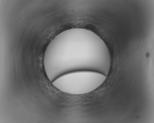 X0000113141010200909040952