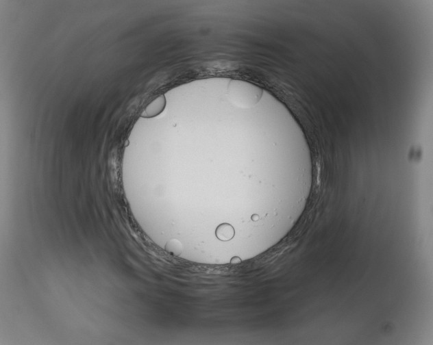 X0000113141011200909040952