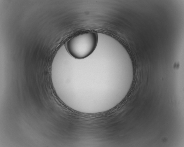 X0000113141012200909040952