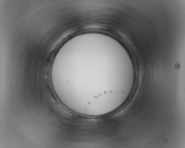 X0000113141017200909040952
