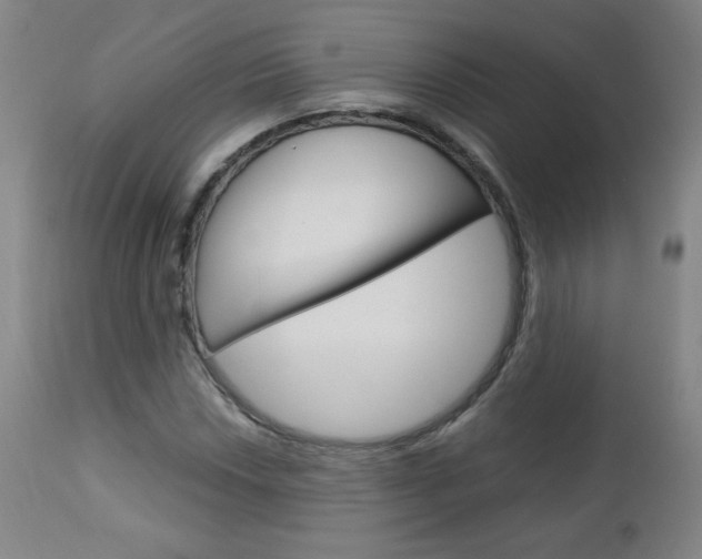 X0000113141018200909040952