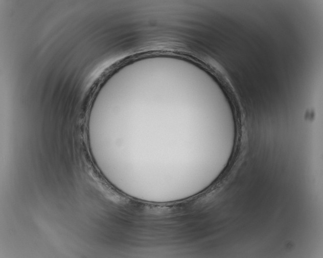 X0000113141019200909040952