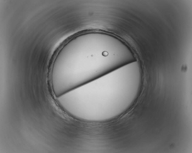 X0000113141020200909040952