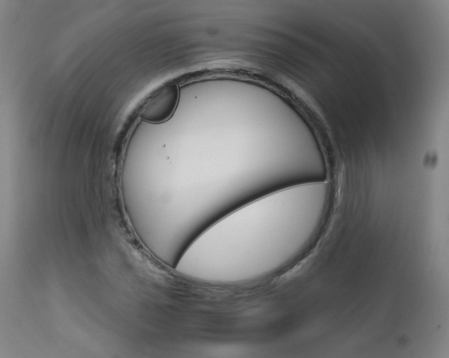 X0000113141021200909040952